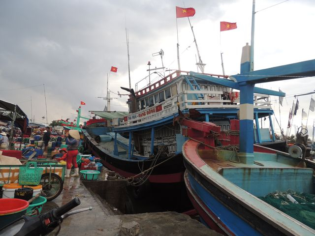 Những chiếc thuyền đầu ti&ecirc;n về bến trong năm Kỷ Hợi.&nbsp;