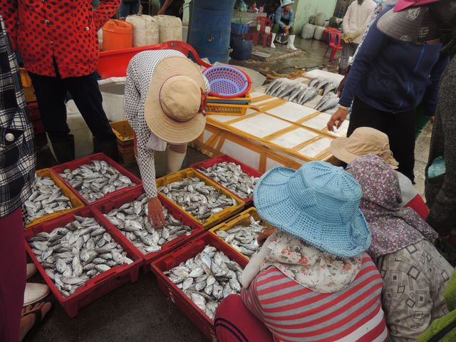 Ngay từ những ng&agrave;y đầu năm, cảng c&aacute; đ&atilde; nhộn nhịp.