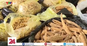 Lừa đảo du khách đi lễ với dược liệu chữa bách bệnh