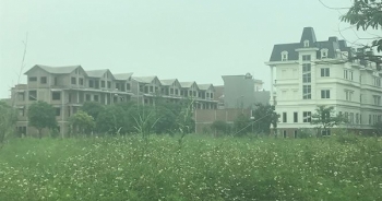 Những dự án mãi 