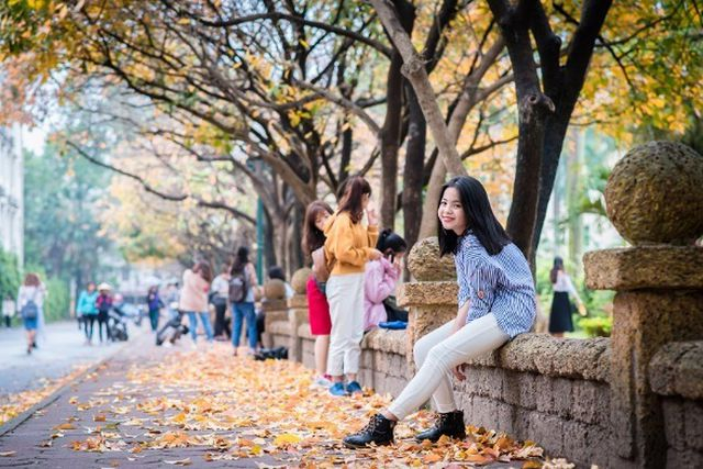 Nhiều người v&iacute; von con đường n&agrave;y ch&iacute;nh l&agrave; con đường thủy sam thu nhỏ bởi vẻ đẹp l&atilde;ng mạn m&agrave; n&oacute; mang lại mỗi độ c&acirc;y lộc vừng v&agrave;o m&ugrave;a thay l&aacute; (ảnh: Nguyễn Văn Qua)