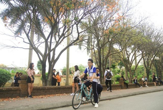 Cũng c&oacute; thể l&agrave; một chuyện t&igrave;nh g&agrave; b&ocirc;ng trong s&aacute;ng, hồn nhi&ecirc;n c&ugrave;ng nhau đi tr&ecirc;n chiếc xe đạp, hai b&ecirc;n đường rợp sắc v&agrave;ng.