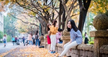 Con đường nhuộm sắc vàng "cực phẩm" giữa khuôn viên ĐH Sư phạm
