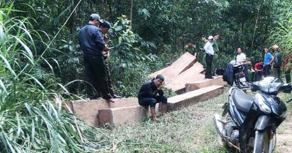 Phát hiện hàng chục hộp gỗ được tập kết ở rừng