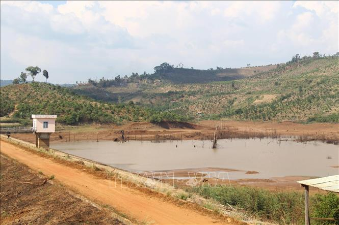 Đất đai xung quanh c&ocirc;ng tr&igrave;nh chỉ th&iacute;ch hợp trồng c&acirc;y l&acirc;u năm, nhưng c&aacute;c đơn vị tư vấn, thiết kế v&agrave; chủ đầu tư dự &aacute;n đ&atilde; k&ecirc; khai diện t&iacute;ch l&uacute;a nước hơn 250ha.