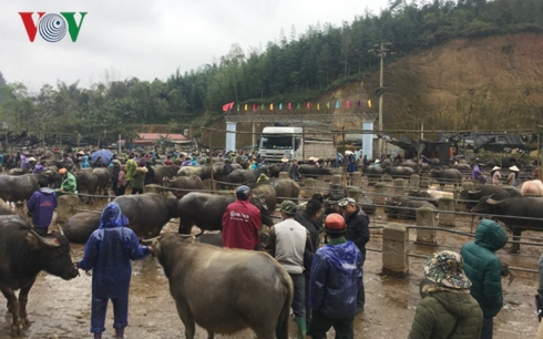 Chợ &nbsp;phi&ecirc;n Tr&agrave; Lĩnh họp v&agrave;o c&aacute;c ng&agrave;y m&ugrave;ng 4, 9, 14, 19, 24 v&agrave; 29 &acirc;m lịch.&nbsp;