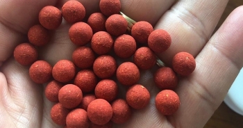 Cảnh báo loại thuốc chết người “tiểu đường hoàn”