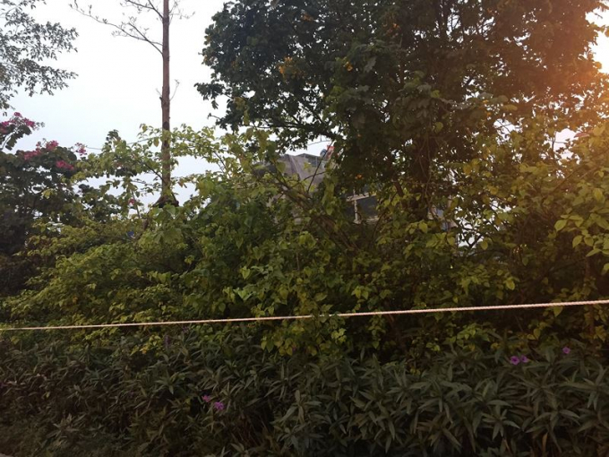 Tr&ecirc;n đường V&otilde; Ch&iacute; C&ocirc;ng, đoạn từ cầu Nhật T&acirc;n về, từ chiều nay, d&acirc;y được căng th&ecirc;m dọc h&agrave;ng c&acirc;y ngăn c&aacute;ch hai l&agrave;n xe.