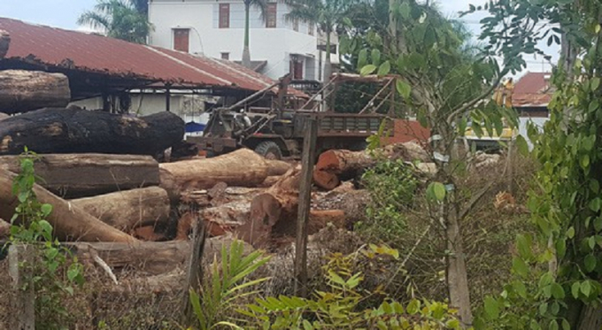 Một trong c&aacute;c kho gỗ của &ocirc;ng tr&ugrave;m