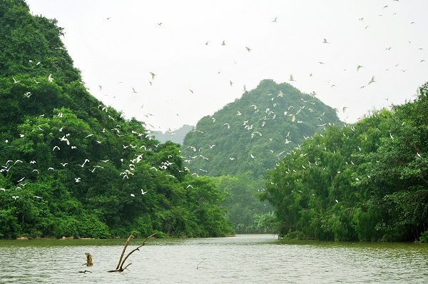 Khu du lịch Thung Nham khai th&aacute;c chủ yếu dựa v&agrave;o thi&ecirc;n nhi&ecirc;n thế nhưng hơn 10 năm qua vẫn kh&ocirc;ng hề c&oacute; ĐTM.