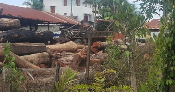 Đắk Nông: Một chiến sĩ công an tử vong bất thương khi canh giữ hàng trăm m3 gỗ