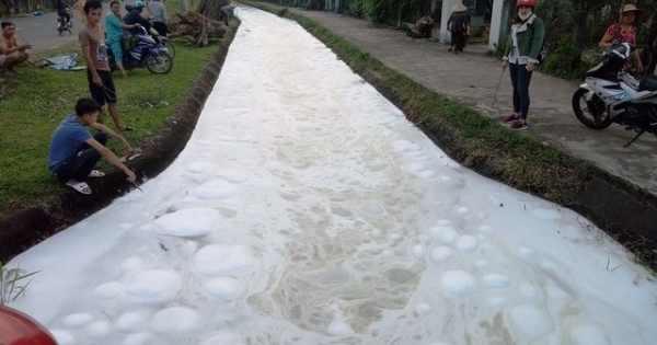 Quảng Nam: Bọt “lạ” nổi dày đặc như bông, trôi đến đâu cá chết đến đó