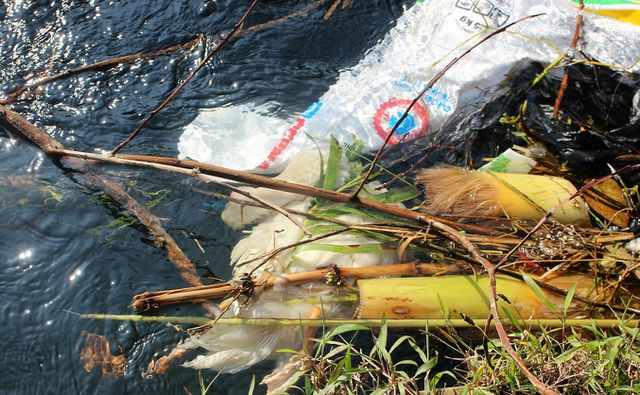 Quảng Nam: Bọt &ldquo;lạ&rdquo; nổi d&agrave;y đặc như b&ocirc;ng, tr&ocirc;i đến đ&acirc;u c&aacute; chết đến đ&oacute;