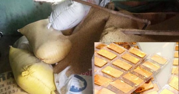 Quảng Nam: Trộm đột nhập vào nhà “cuỗm” mất gần 50 cây vàng