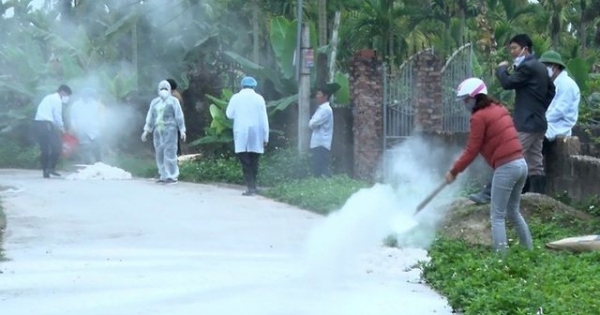 Triển khai đồng bộ các giải pháp cấp bách khống chế bệnh dịch tả lợn châu Phi