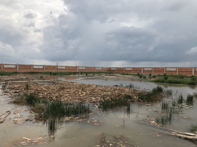 z1719629207716_2190065872b9fe16d5dfee4cce7978c5