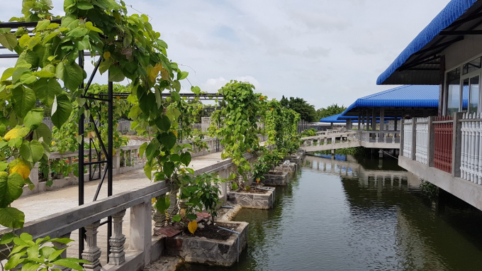 z1723339065777_30bd459da71c43160362e705f9210ee1