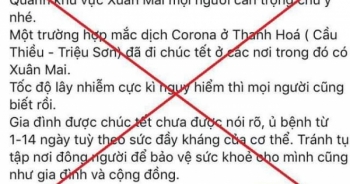 Hà Nội: Nam thanh niên ở Chương Mỹ bị phạt 10 triệu đồng vì tung tin sai về dịch corona