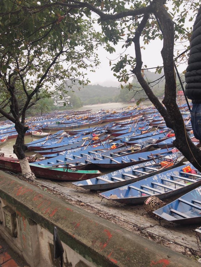 Tài khoản Nguyễn Trà My chia sẻ: