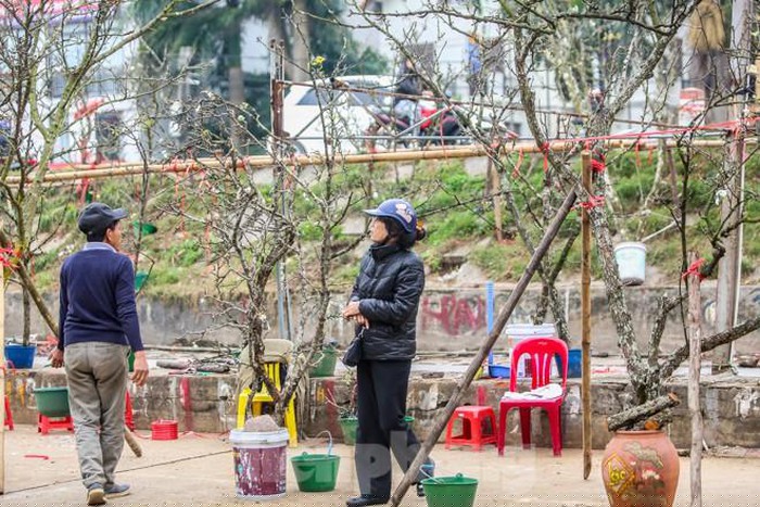 Một dân buôn trên đường Âu Cơ chia sẻ, mỗi ngày có hàng trăm lượt khách qua, đứng lại xem nhưng chỉ có một vài người mua do giá lên hàng triệu đồng: