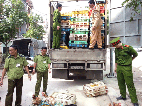 Hinh minh hoa