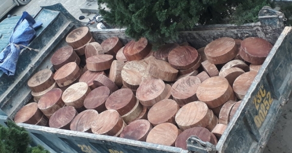 Hà Giang: Bắt đối tượng điều khiển xe tải vận chuyển gỗ nghiến