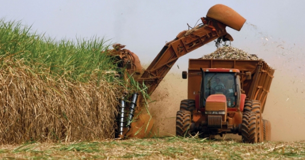 Thủ tướng: "Chúng ta sẵn sàng xóa bỏ mọi rào cản trong phát triển mía đường"