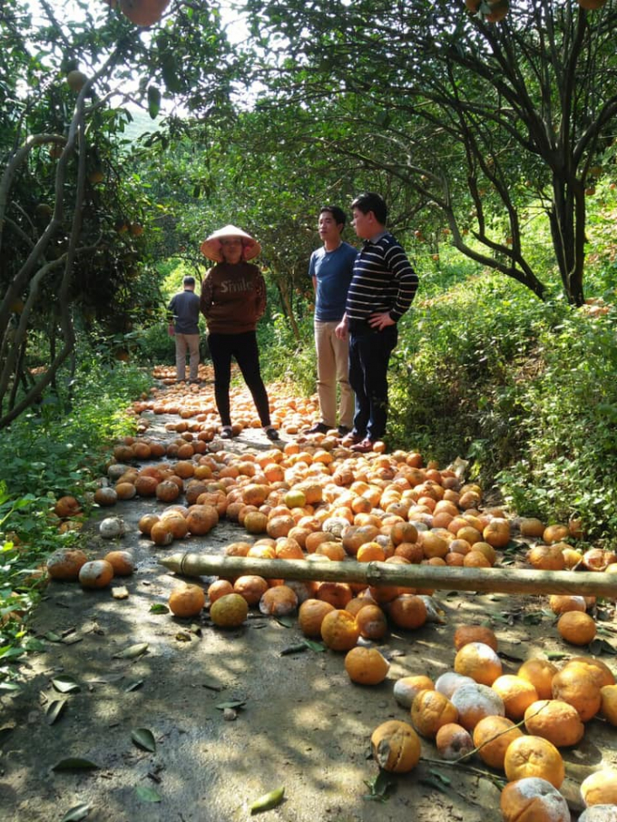 86381298_2678895689019803_9192696779131322368_n