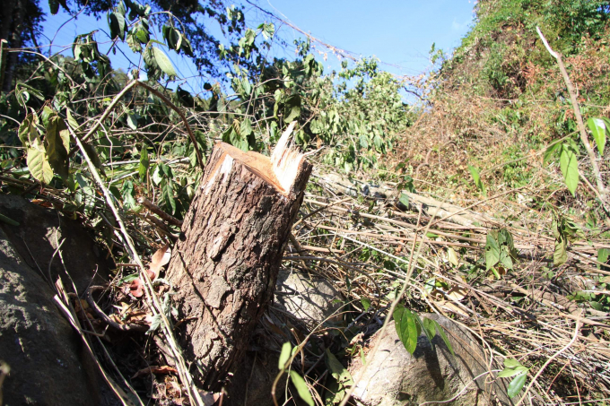 received_1032323023807891.