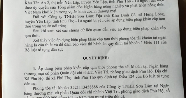 Vì đâu TAND huyện Yên Lập "vội vã" ban hành quyết định áp dụng biện pháp khẩn cấp tạm thời