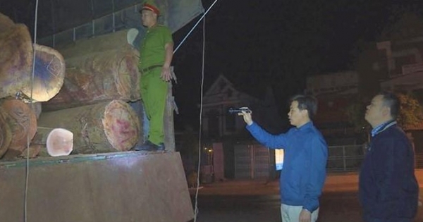 Đắk Lắk: Phát hiện tài xế dùng hồ sơ giả để vận chuyển gỗ lậu