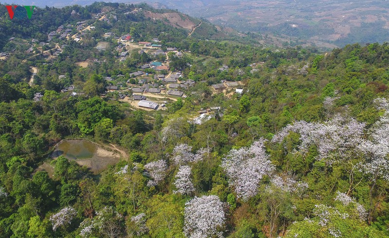 ngay ngat mua ban no o dien bien hinh 2