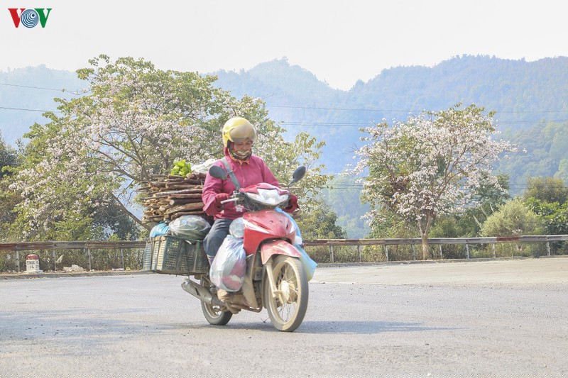 ngay ngat mua ban no o dien bien hinh 3