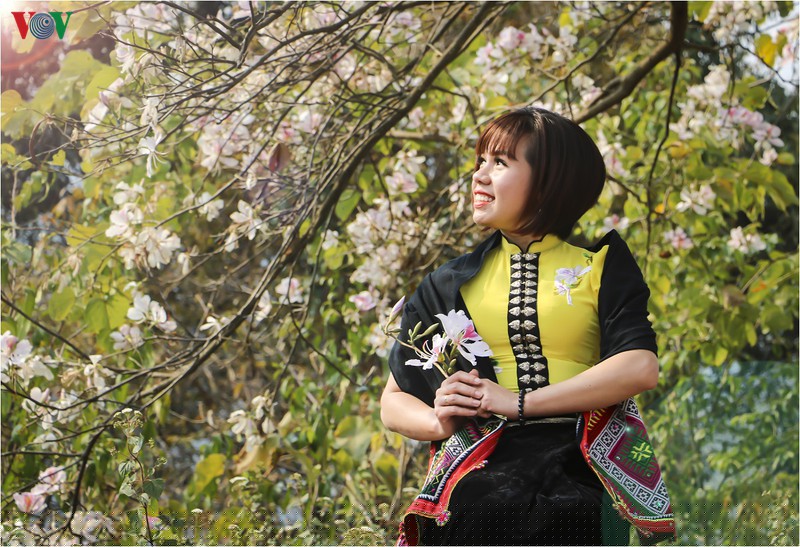 ngay ngat mua ban no o dien bien hinh 12