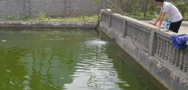 Yên Bái: Xót thương bé trai 4 tuổi bị đuối nước thương tâm