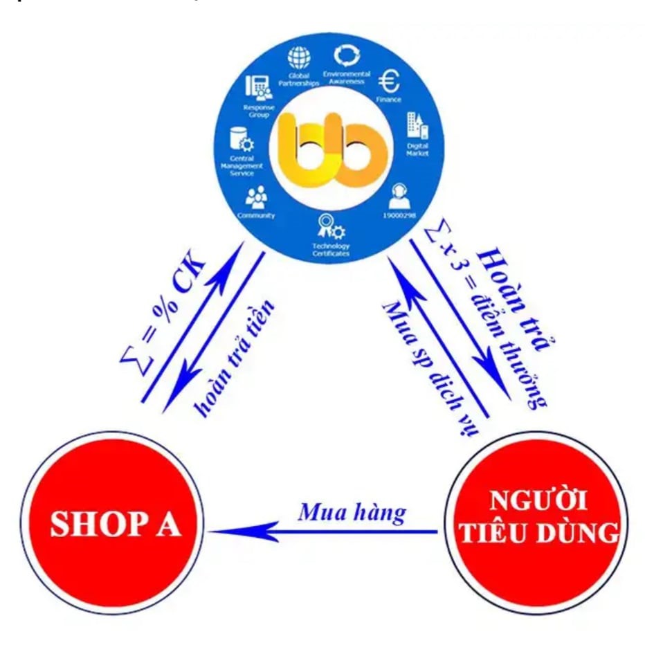 Mô hình hoạt động của Bigbuy24h.com