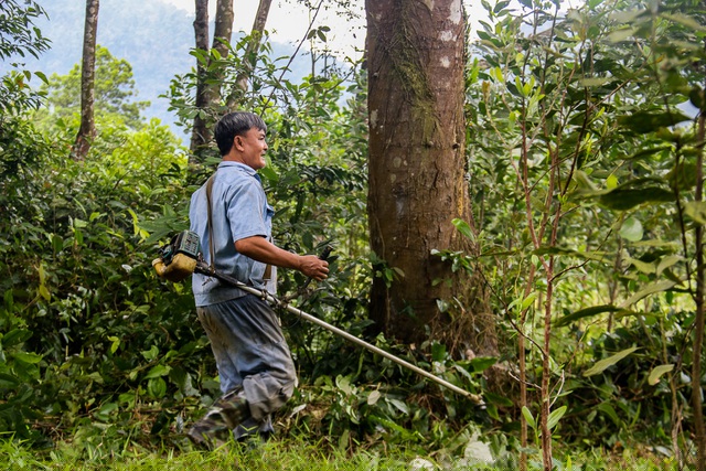 Thời gian ông Sơn dành cho rừng đôi lúc còn nhiều hơn ở nhà