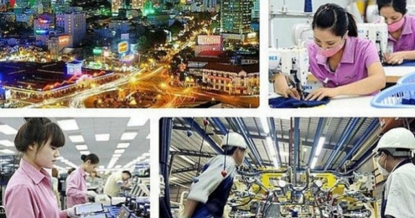 Tổng điều tra kinh tế năm 2021