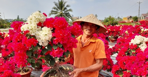 Hoa, nông sản tết: Kẻ cười, người khóc