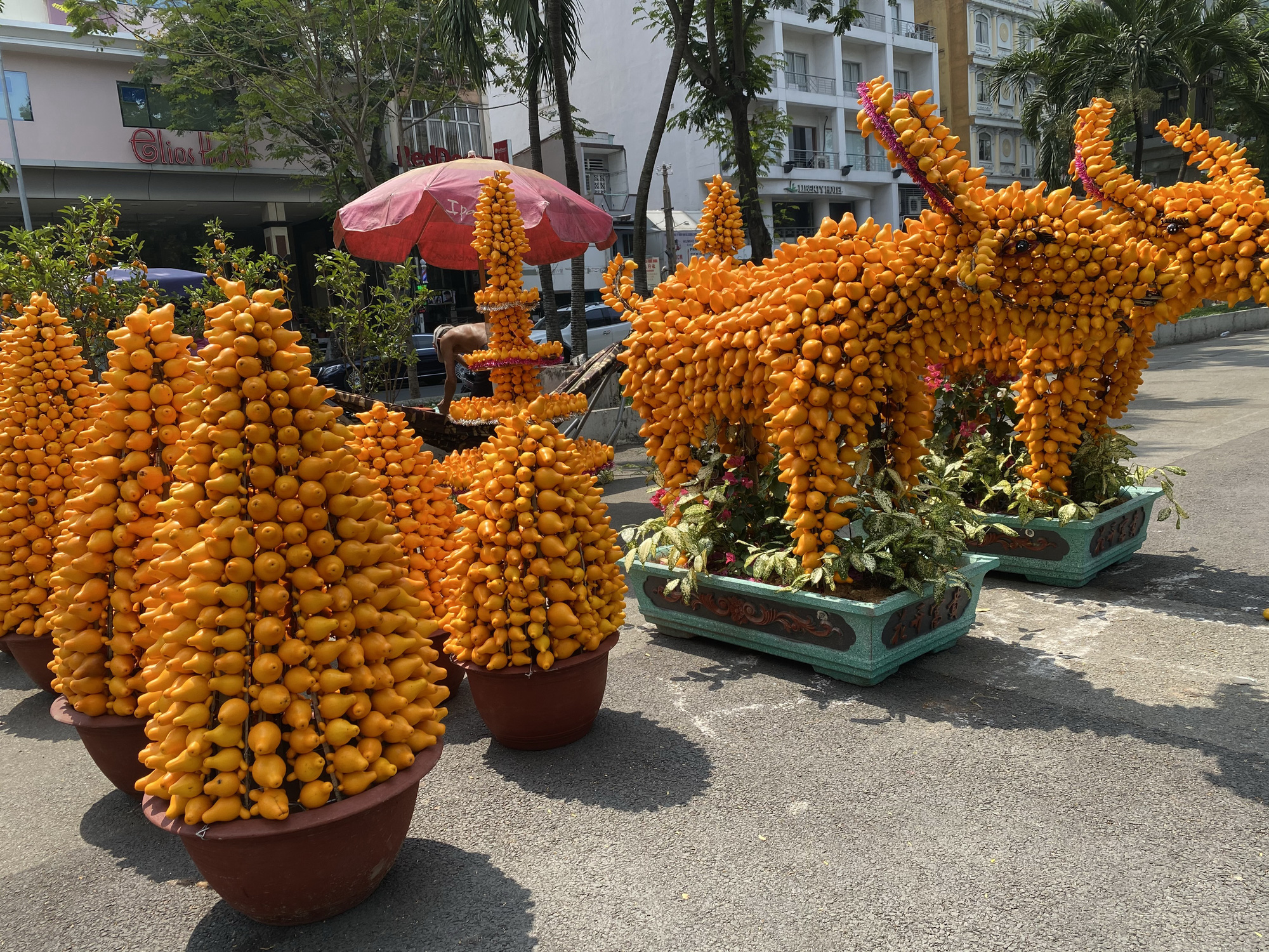 Kiểng trâu thu hút du khách - Ảnh 3. Kiểng trâu thu hút du khách - Ảnh 3.