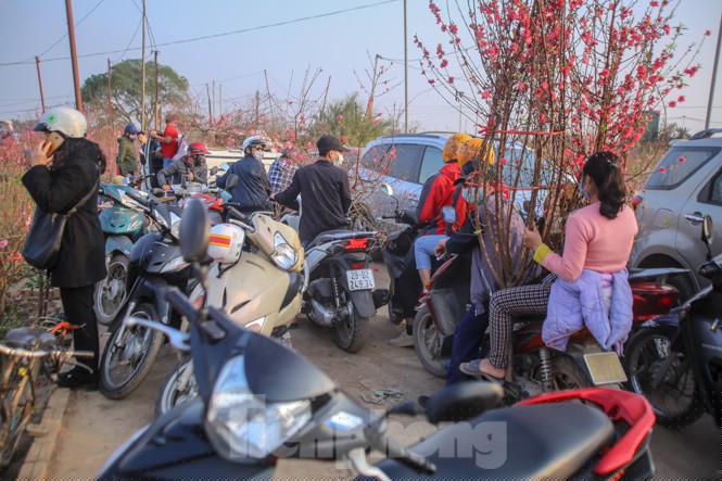 Đào bung nở, làng Nhật Tân nghẽn lối vào ngày cận Tết - ảnh 9