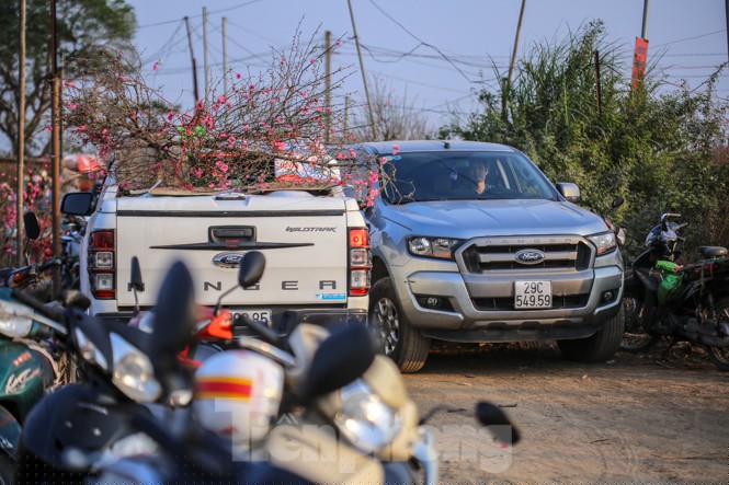 Đào bung nở, làng Nhật Tân nghẽn lối vào ngày cận Tết - ảnh 10