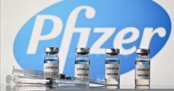 EU đồng ý cấp phép xuất lô vaccine Pfizer đầu tiên sang Nhật Bản