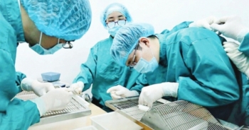 Tỉ mỉ chuyện bài chế vắc xin ngừa Covid-19