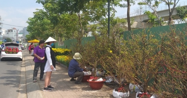 Xin đừng "dìm hàng" người nông dân trồng hoa tết