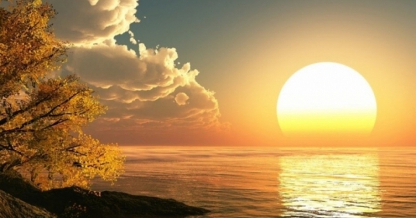 Xuân mới, hãy tặng cho mình một chữ An