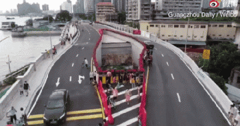 Tuyến đường cao tốc phải tách làm đôi "nhường chỗ" cho hai cây cổ thụ