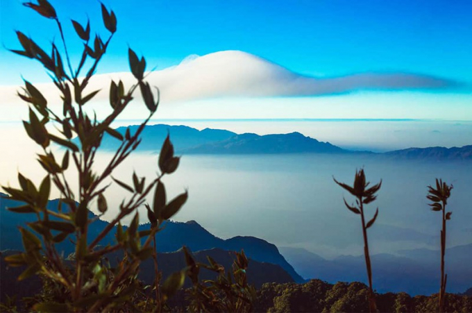 Đỉnh Pu Ta Leng h&ugrave;ng vĩ.