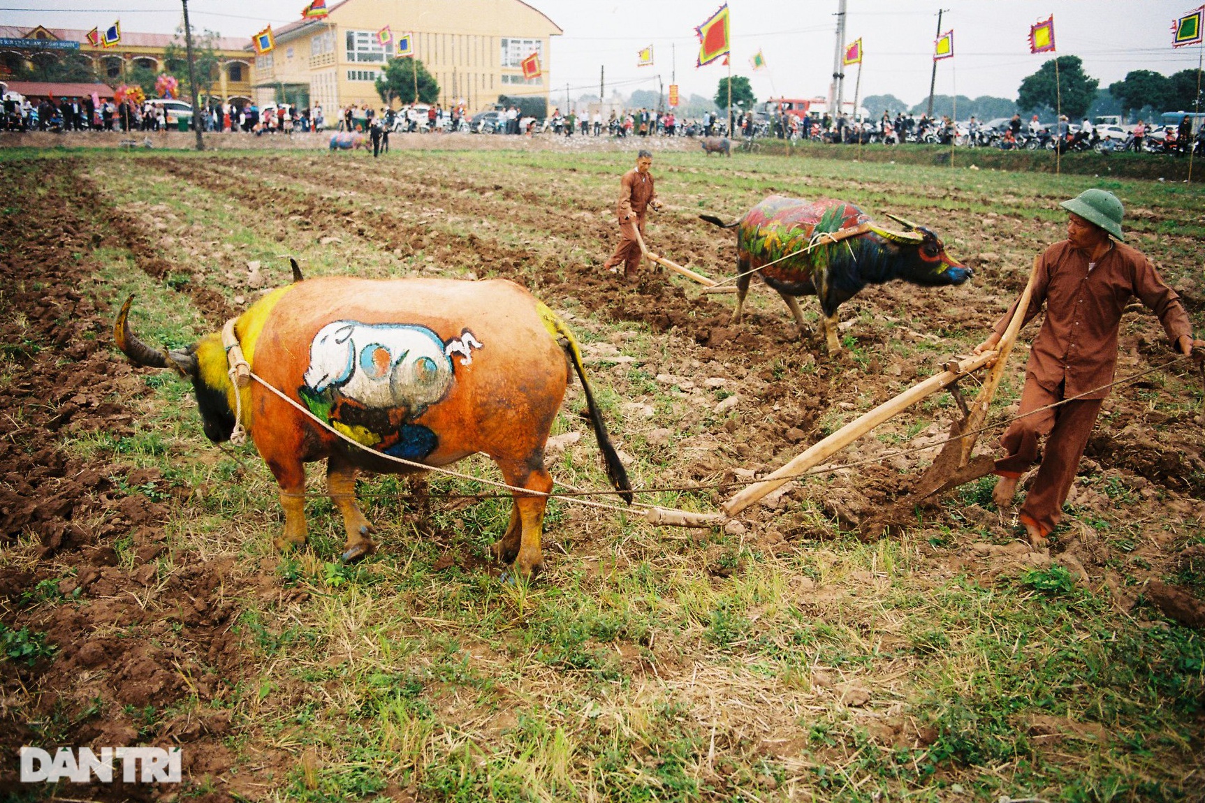 Cả cánh đồng làng Đọi Sơn nhộn nhịp cảnh lao động hăng say, những thửa ruộng được cày xới tơi xốp đã sẵn sàng được tháo nước để cấy lúa vụ xuân.