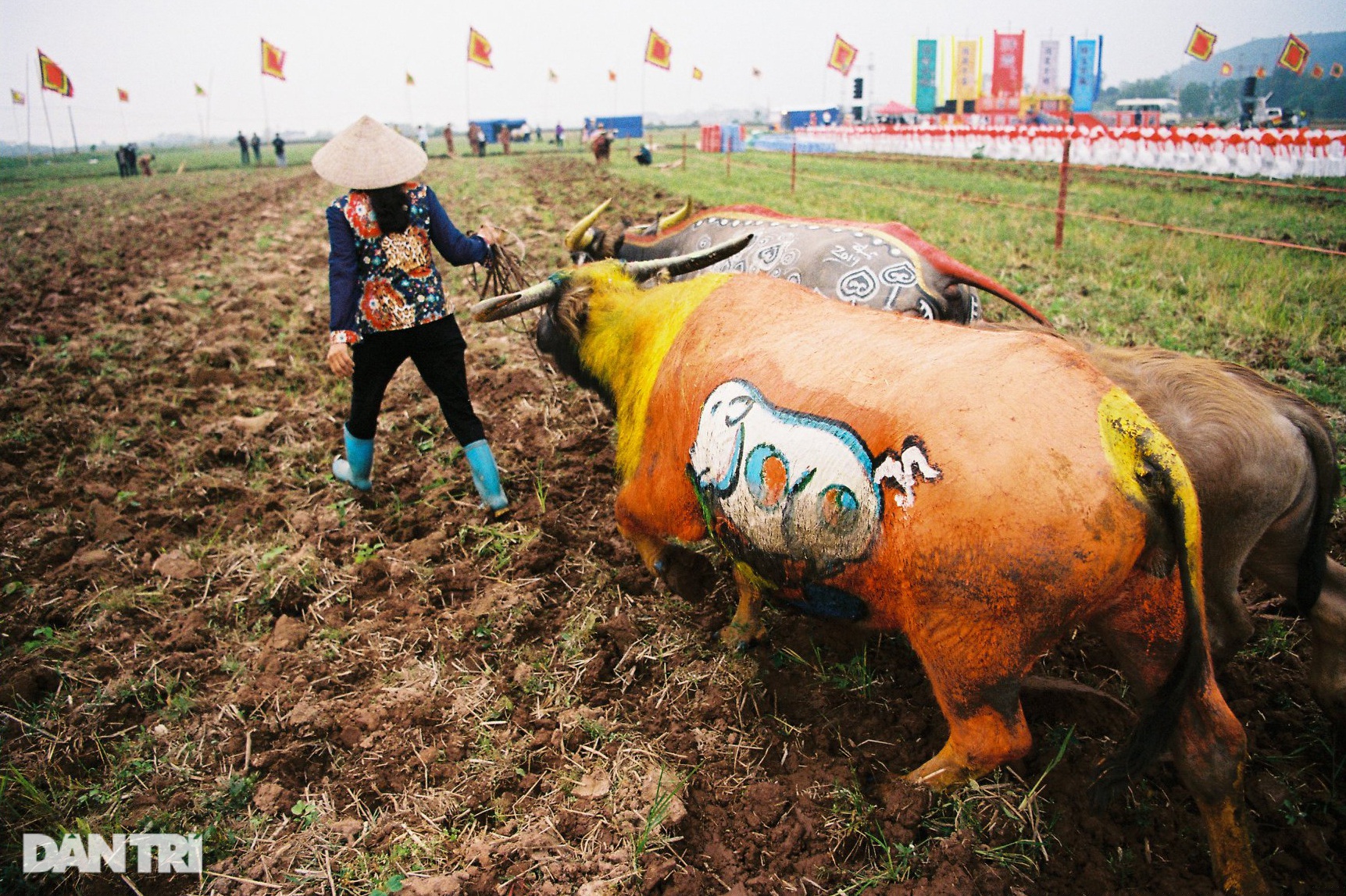 Phải chờ đợi 12 năm nữa, lễ hội Tịch Điền mới lại có thể rộn ràng đón mừng năm mới với hình tượng linh vật con trâu, tức năm Quý Sửu 2033.